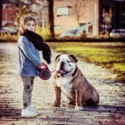 IGOODS - Uitlaatriem - Honden Riem - Katten Riem - Uitlaatriem Voor Dieren - Rollijn - 5 Meter Lang Roze -Honden Benodigdheden Verkoop 1200x1200 1302