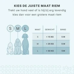 Hondenriem Tape - 5 Meter - Medium - Voor Honden <25 Kg - Zwart-Wit 15 Hondenriem Tape - 5 Meter - Medium - Voor Honden <25 Kg - Zwart-Wit -Honden Benodigdheden Verkoop 1200x1200 1322