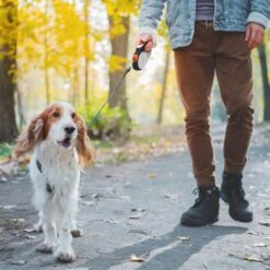 Hondenriem Tape - 5 Meter - Medium - Voor Honden <25 Kg - Zwart-Wit 16 Hondenriem Tape - 5 Meter - Medium - Voor Honden <25 Kg - Zwart-Wit -Honden Benodigdheden Verkoop 1200x1200 1323