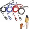 LOUZIR Cesar Millan Sliplijn Met Stop - Hondenriem - Rood - 130 Cm -Honden Benodigdheden Verkoop 1200x1200 1329