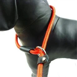 LOUZIR Cesar Millan Sliplijn Met Stop - Hondenriem - Rood - 130 Cm -Honden Benodigdheden Verkoop 1200x1200 1331