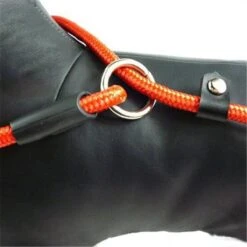 LOUZIR Cesar Millan Sliplijn Met Stop - Hondenriem - Rood - 130 Cm -Honden Benodigdheden Verkoop 1200x1200 1334