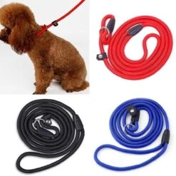LOUZIR Cesar Millan Sliplijn Met Stop - Hondenriem - Rood - 130 Cm -Honden Benodigdheden Verkoop 1200x1200 1335