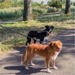 Rebel Petz - Dubbele Verstelbare Hondenriem Voor Twee Honden - Met Draaibare Sluiting En Zacht Handvat - Small En Large - Large (140 Cm Lang, Ø 12 Mm) -Honden Benodigdheden Verkoop 1200x1200 1354