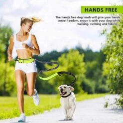 Hondenriem Hardloopriem Elastische Reflecterende Geschikt Voor Hardlopen - Handsfree Riem Met Opbergtasje – Hond Looplijn - Schokabsorberend - Groen -Honden Benodigdheden Verkoop 1200x1200 1372
