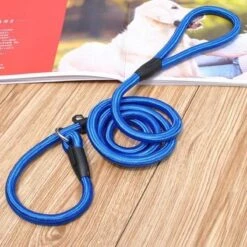 LOUZIR Cesar Millan Sliplijn -Nylon - Hondenriem -verstelbaar- Blauw - 130 Cm -Honden Benodigdheden Verkoop 1200x1200 1378