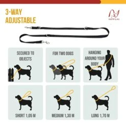 Happilax Dog Leash 2m Adjustable - Black/Reflective - 3-Step Adjustable Leash - Double Leash, Tug Leash - Geschikt Als Hondenriem Voor Grote Honden Of Als Sleepriem Voor Kleine Honden. -Honden Benodigdheden Verkoop 1200x1200 1384