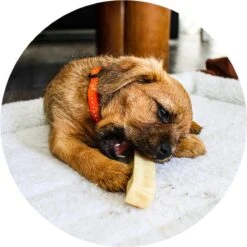 RENSKE | Renske Chhurpi Kauwkluif 12 RENSKE | Renske Chhurpi Kauwkluif -Honden Benodigdheden Verkoop 1200x1200 14