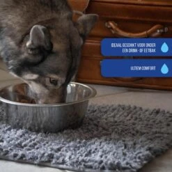 Royal Dry Absorberende Anti-knoeimat Voor Honden – Trekt Vuil Als Een Spons – Laat Geen Vocht Door – 61x45 Cm – Microfiber Chenille – Geschikt Voor Honden En Overige Huisdieren -Honden Benodigdheden Verkoop 1200x1200 1454