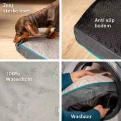 CozySense® - Orthopedisch Hondenkussen - Hondenkussen 90 X 55 Cm - Ook Geschikt Als Benchkussen & Hondenbed - Hondenkussen Bank - Traagschuim - Waterdicht - Wasbare Hoes - Maat L 16 CozySense® - Orthopedisch Hondenkussen - Hondenkussen 90 X 55 Cm - Ook Geschikt Als Benchkussen & Hondenbed - Hondenkussen Bank - Traagschuim - Waterdicht - Wasbare Hoes - Maat L -Honden Benodigdheden Verkoop 1200x1200 1471