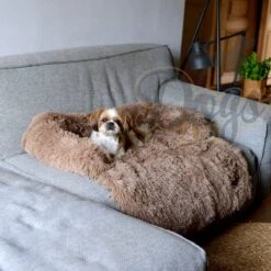 Dogs&Co Zachte Fluffy Hondenmat Voor Bank Maat L Khaki 120x90cm - Hondenmand -Honden Benodigdheden Verkoop 1200x1200 1479