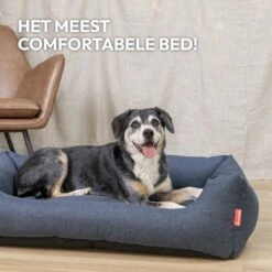 Snoozle Hondenmand - Zacht En Luxe Hondenkussen - Hondenbed - Wasbaar - Hondenmanden - 80 X 60cm 17 Snoozle Hondenmand - Zacht En Luxe Hondenkussen - Hondenbed - Wasbaar - Hondenmanden - 80 X 60cm -Honden Benodigdheden Verkoop 1200x1200 1489