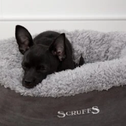 Scruffs Cosy Kattenmand - Comfortabel En Voordelig Met Zachte Binnenvoering En Imitatie Suède Buitenvoering - 3 Kleuren - Ø 45 Cm - Karamel -Honden Benodigdheden Verkoop 1200x1200 1497