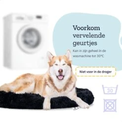 All 4 Pets Supply® Hondenmand Donut - Maat XL - Geschikt Voor Honden Tot 100 Cm - Hondenkussen - Zwart 16 All 4 Pets Supply® Hondenmand Donut - Maat XL - Geschikt Voor Honden Tot 100 Cm - Hondenkussen - Zwart -Honden Benodigdheden Verkoop 1200x1200 1517
