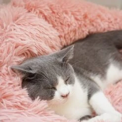 Topmast Fluffy Donut - Dierenmand - Donut Hondenmand - Roze - 50 Cm -Honden Benodigdheden Verkoop 1200x1200 1530