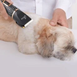 Tjilla Professionele Dieren/honden Tondeuse Set Extra Krachtig - Honden Trimmer - Lang Of Kortharige Huisdieren Katten & Honden - Draadloos - Weinig Geluid -Honden Benodigdheden Verkoop 1200x1200 155