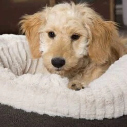 Scruffs Ellen Donut - Warme Hondenmand Van Imitatiebont - Kleur Grijs, Roze Of Bruin - Maat M Of L - Kleur: Grijs, Maat: Medium -Honden Benodigdheden Verkoop 1200x1200 1583