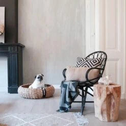 District 70 COCOON - Luxe Hondenmand Van Duurzaam Hoogwaardig Riet Met Zacht Kussen - Maten S/M/L - Large -Honden Benodigdheden Verkoop 1200x1200 1601