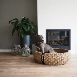 District 70 COCOON - Luxe Hondenmand Van Duurzaam Hoogwaardig Riet Met Zacht Kussen - Maten S/M/L - Large -Honden Benodigdheden Verkoop 1200x1200 1606