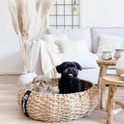 District 70 COCOON - Luxe Hondenmand Van Duurzaam Hoogwaardig Riet Met Zacht Kussen - Maten S/M/L - Large -Honden Benodigdheden Verkoop 1200x1200 1608