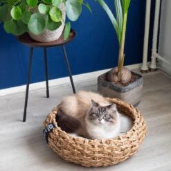 District 70 COCOON - Luxe Hondenmand Van Duurzaam Hoogwaardig Riet Met Zacht Kussen - Maten S/M/L - Large -Honden Benodigdheden Verkoop 1200x1200 1612