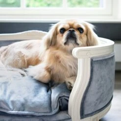 Lord Lou - George Roze Velvet S - Luxe Hondenmand - Luxe Kattenmand - 49x40x31 15 Lord Lou - George Roze Velvet S - Luxe Hondenmand - Luxe Kattenmand - 49x40x31 -Honden Benodigdheden Verkoop 1200x1200 1614