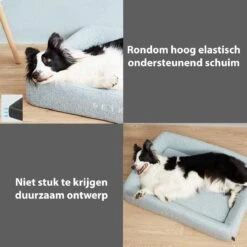 PETKIT® Four Season - Hondenmand - Kattenmand - Wasbaar - Memory Foam - Maat L -Honden Benodigdheden Verkoop 1200x1200 1625