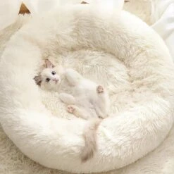 Bonbox Shop - Maat S - Donut Bed In Wit - Dierenmand Voor Katten, Kittens En Kleine Honden - Knus Mandje - Donutbed Diameter 40 Cm - Anti Anxiety -Honden Benodigdheden Verkoop 1200x1200 1627