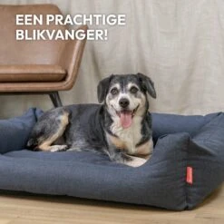 Snoozle Hondenmand - Zacht En Luxe Hondenkussen - Hondenbed - Wasbaar - Hondenmanden - 100 X 70cm 17 Snoozle Hondenmand - Zacht En Luxe Hondenkussen - Hondenbed - Wasbaar - Hondenmanden - 100 X 70cm -Honden Benodigdheden Verkoop 1200x1200 1643