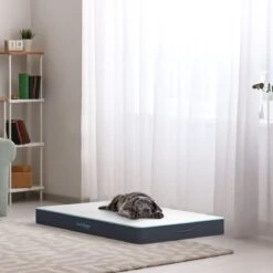 CozySense® - Orthopedisch Hondenkussen - Hondenkussen 60 X 40 Cm - Ook Geschikt Als Benchkussen & Hondenbed - Hondenkussen Bank - Traagschuim - Waterdicht - Wasbare Hoes - Maat S -Honden Benodigdheden Verkoop 1200x1200 1680