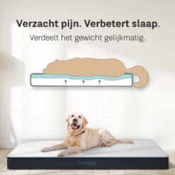 CozySense® - Orthopedisch Hondenkussen - Hondenkussen 75 X 45 Cm - Ook Geschikt Als Benchkussen & Hondenbed - Hondenkussen Bank - Traagschuim - Waterdicht - Wasbare Hoes - Maat M -Honden Benodigdheden Verkoop 1200x1200 1684