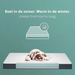 CozySense® - Orthopedisch Hondenkussen - Hondenkussen 75 X 45 Cm - Ook Geschikt Als Benchkussen & Hondenbed - Hondenkussen Bank - Traagschuim - Waterdicht - Wasbare Hoes - Maat M -Honden Benodigdheden Verkoop 1200x1200 1685