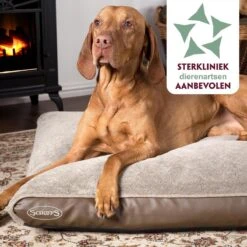 Scruffs Chateau - Hondenbed Orthopedisch Met Memory Foam Voor Extra Steun Voor Rug En Gewrichten - Grijs & Bruin Maat M/L - Kleur: Grijs, Maat: Large -Honden Benodigdheden Verkoop 1200x1200 1698