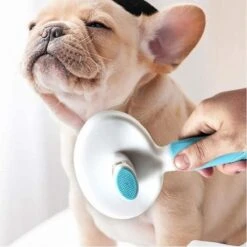 Merkloos Dierenborstel - Haarborstel Huisdieren - Borstel Voor Vacht Huisdier - Borstel Kat - Borstel Hond - Makkelijk Haar Verwijderen Met één Klik - Inclusief Speeltje - Kam Huisdier - Vachtverzorging - Massage -Honden Benodigdheden Verkoop 1200x1200 170