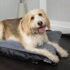 Scruffs Chateau - Hondenbed Orthopedisch Met Memory Foam Voor Extra Steun Voor Rug En Gewrichten - Grijs & Bruin Maat M/L - Kleur: Grijs, Maat: Large -Honden Benodigdheden Verkoop 1200x1200 1703