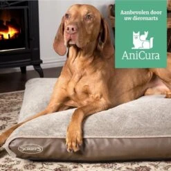 Scruffs Chateau - Hondenbed Orthopedisch Met Memory Foam Voor Extra Steun Voor Rug En Gewrichten - Grijs & Bruin Maat M/L - Kleur: Grijs, Maat: Large -Honden Benodigdheden Verkoop 1200x1200 1705