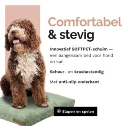 Rexproduct Hondenkussen - Hondenmand - Hondenbed Met Rits En Wasbaar - Manden & Kussens 90 X 110 CM - 0 Tot 80 Kg - SoftPet Groen -Honden Benodigdheden Verkoop 1200x1200 1716
