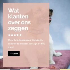 Rexproduct Hondenkussen - Hondenmand - Hondenbed Met Rits En Wasbaar - Manden & Kussens 90 X 110 CM - 0 Tot 80 Kg - SoftPet Groen -Honden Benodigdheden Verkoop 1200x1200 1720