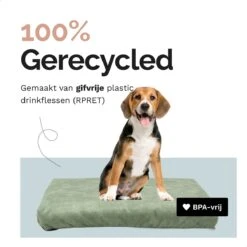 Rexproduct Hondenkussen - Hondenmand - Hondenbed Met Rits En Wasbaar - Manden & Kussens 90 X 110 CM - 0 Tot 80 Kg - SoftPet Groen -Honden Benodigdheden Verkoop 1200x1200 1721