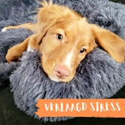 Origineel Hondendeken Voor Bank– Hondenkleed Fluffy – Pluche Hondenbed - Hondenmand Premium - Volledig Afritsbaar -Honden Benodigdheden Verkoop 1200x1200 1731