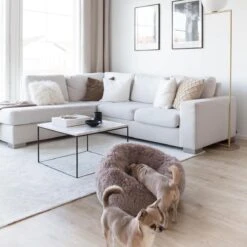 District 70 FUZZ - Hondenmand Comfortabel En Zacht Pluche - Zand, Oudroze, Donkergrijs En Lichtgrijs In S/M/L/XL - Maat: Medium, Kleur: Zand -Honden Benodigdheden Verkoop 1200x1200 1739