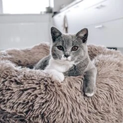 District 70 FUZZ - Hondenmand Comfortabel En Zacht Pluche - Zand, Oudroze, Donkergrijs En Lichtgrijs In S/M/L/XL - Maat: Medium, Kleur: Zand -Honden Benodigdheden Verkoop 1200x1200 1740