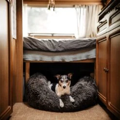 District 70 FUZZ - Hondenmand Comfortabel En Zacht Pluche - Zand, Oudroze, Donkergrijs En Lichtgrijs In S/M/L/XL - Maat: Medium, Kleur: Zand -Honden Benodigdheden Verkoop 1200x1200 1743