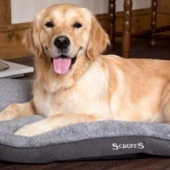 Scruffs Cosy - Comfortabel Hondenkussen In Grijs, Beige Of Karamel - Met Imitatie Suède Buitenvoering En Superzachte Binnenvoering - 100 X 70 Cm - Grijs -Honden Benodigdheden Verkoop 1200x1200 1774