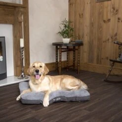 Scruffs Cosy - Comfortabel Hondenkussen In Grijs, Beige Of Karamel - Met Imitatie Suède Buitenvoering En Superzachte Binnenvoering - 100 X 70 Cm - Grijs -Honden Benodigdheden Verkoop 1200x1200 1776