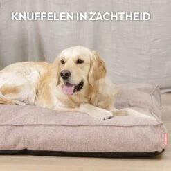 Snoozle Orthopedische Hondenmand - Zacht En Luxe Hondenkussen - Hondenbed - Wasbaar - Hondenmanden - 80 X 55 Cm - Desert Pink -Honden Benodigdheden Verkoop 1200x1200 1779