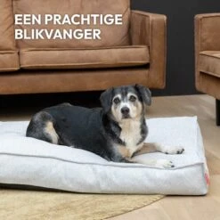 Snoozle Orthopedische Hondenmand - Zacht En Luxe Hondenkussen - Hondenbed - Wasbaar - Hondenmanden - 80 X 55 Cm - Desert Pink -Honden Benodigdheden Verkoop 1200x1200 1780
