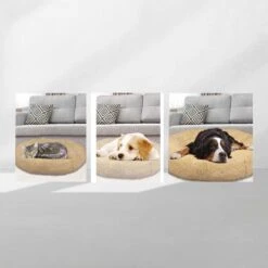 Peaceful Pooch S - Pluizig Hondenbed - 58cm Diameter - Opvouwbaar - In Verschillende Maten. Kattenbed - Wasbaar - Uitneembare Vulling - Ontspant Gewrichten En Spieren - Anti-slip Noppenbodem -Honden Benodigdheden Verkoop 1200x1200 1791