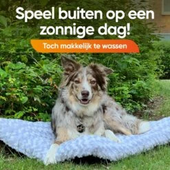Happysnoots Hondenkussen 70 X 50cm - Hondenbed - Donut Dog Bed - Fluffy - Grijs - Wasbaar 18 Happysnoots Hondenkussen 70 X 50cm - Hondenbed - Donut Dog Bed - Fluffy - Grijs - Wasbaar -Honden Benodigdheden Verkoop 1200x1200 1801