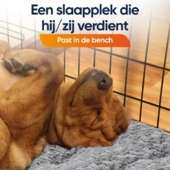 Happysnoots Hondenkussen 70 X 50cm - Hondenbed - Donut Dog Bed - Fluffy - Grijs - Wasbaar 19 Happysnoots Hondenkussen 70 X 50cm - Hondenbed - Donut Dog Bed - Fluffy - Grijs - Wasbaar -Honden Benodigdheden Verkoop 1200x1200 1802